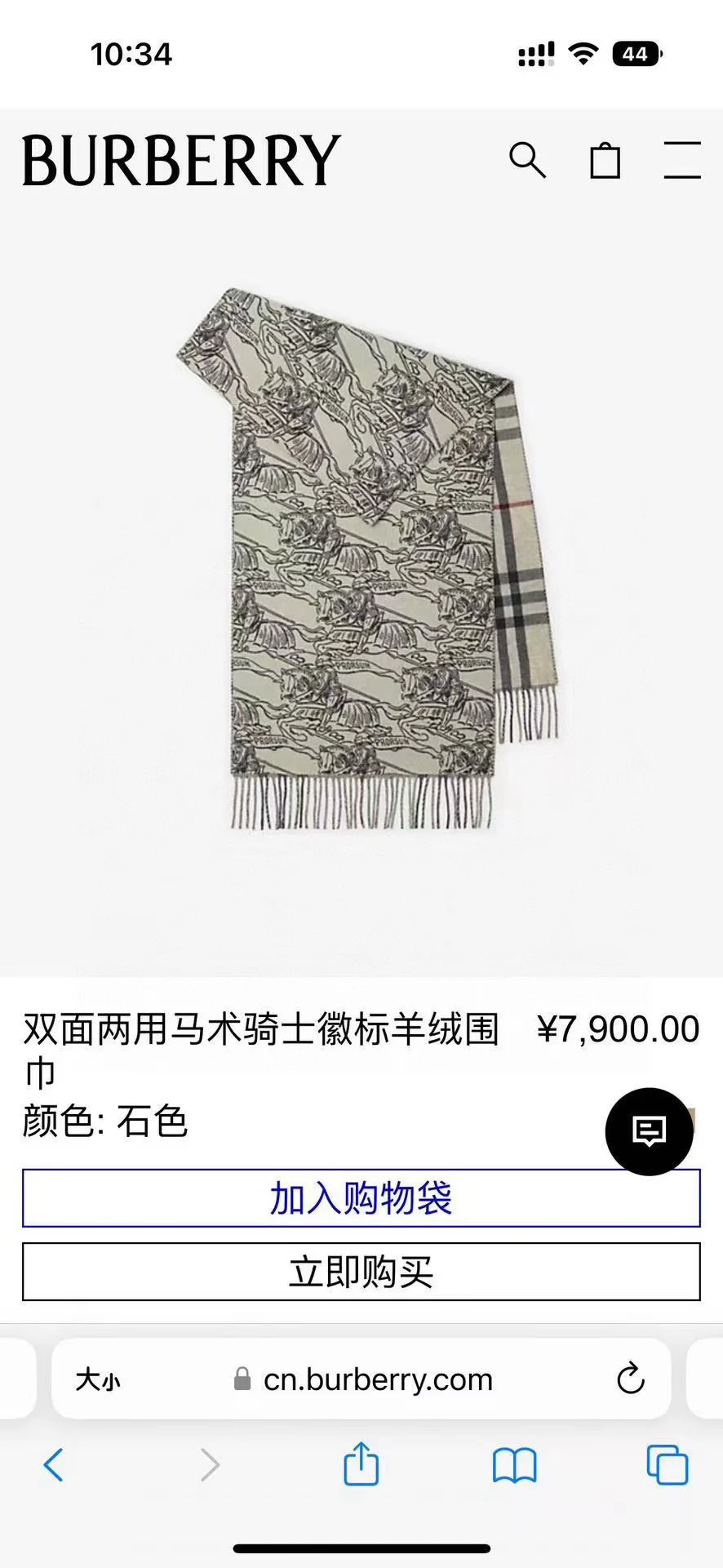 Burberry Scarf — Image 9