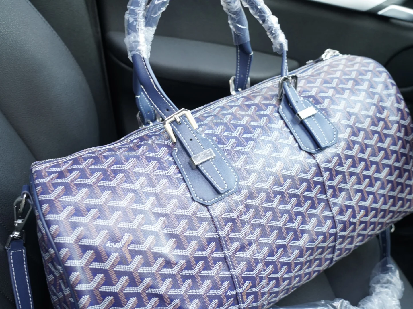 Goyard Backpack — Image 3
